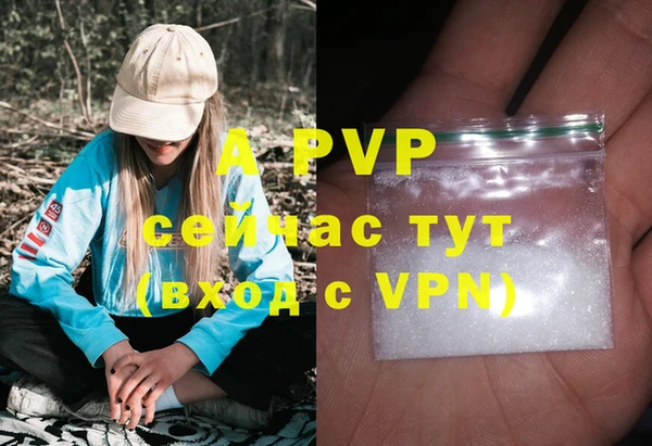 гидра Алексин