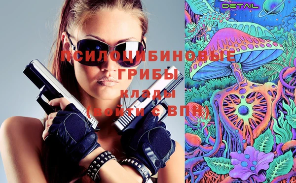 гидра Алексин