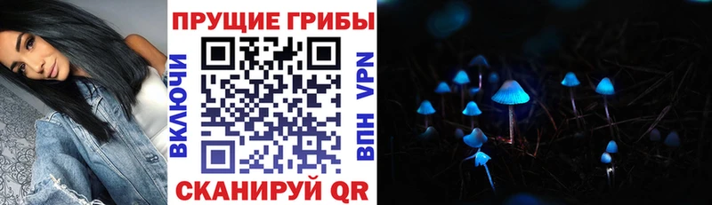 Галлюциногенные грибы Psilocybe  Строитель 