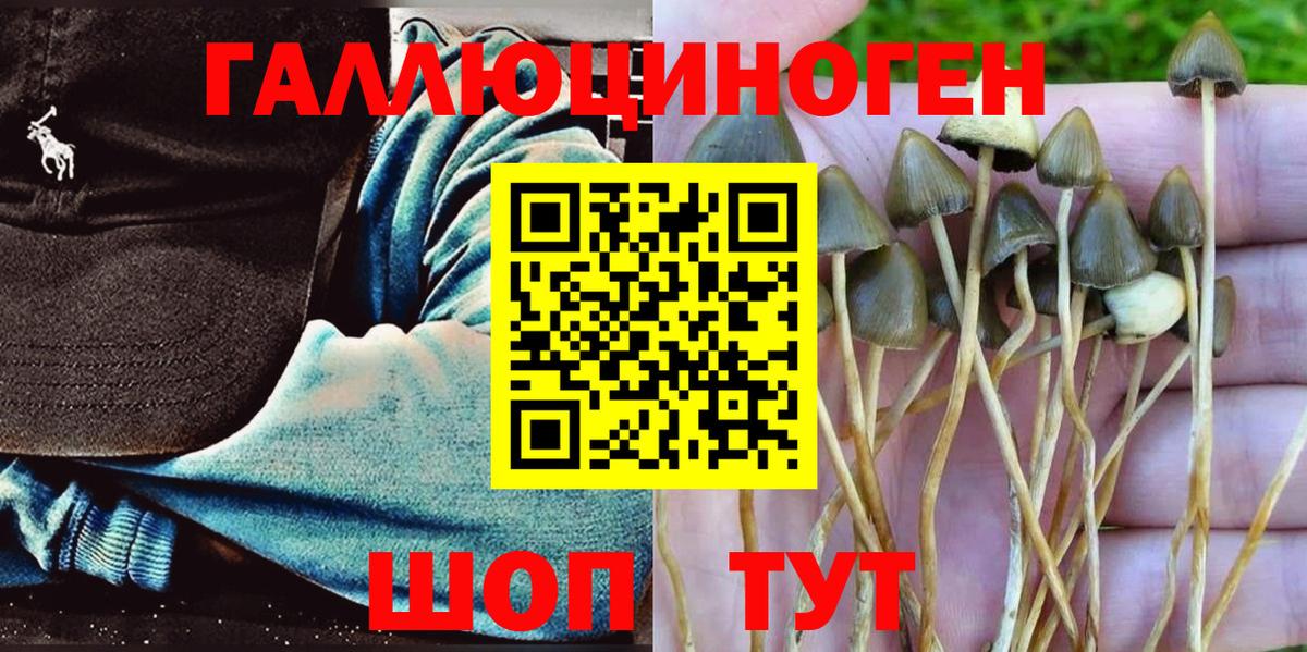 Псилоцибиновые грибы GOLDEN TEACHER  Псилоцибиновые грибы MAGIC MUSHROOMS  Строитель  Вход с VPN 