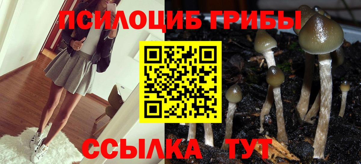 Псилоцибиновые грибы Magic Shrooms Строитель